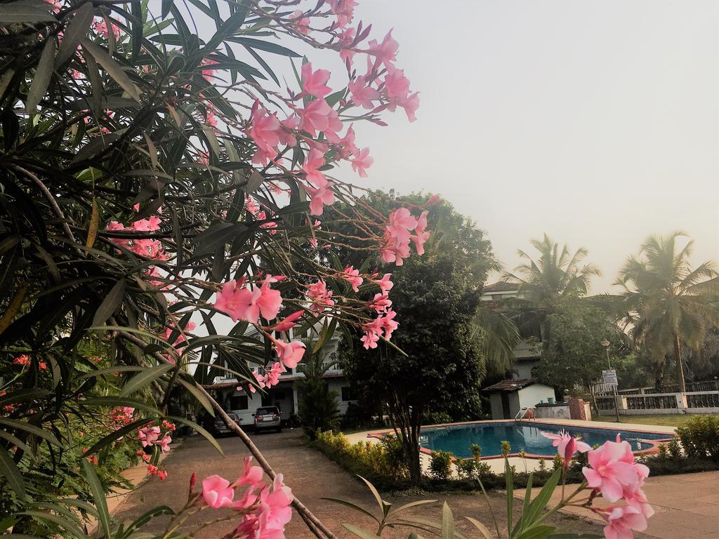 Gr Stays - Duplex 3Bhk Villa With Pool Arpora I Baga Beach 5 Mins Eksteriør billede